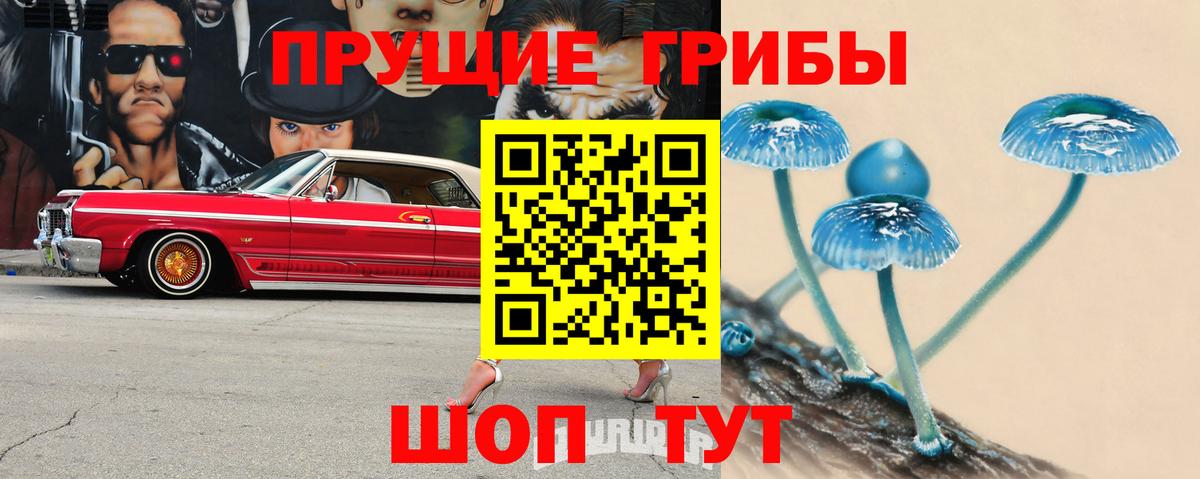 Псилоцибиновые грибы мицелий Жуковский